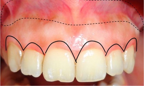 Instituto SM: referência em odontologia com ensino inovador, corpo docente formado por especialistas, mestres e doutores, e foco em criatividade, empreendedorismo e parcerias.